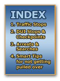 Guide to Georgia Traffic Stops Index graphic 